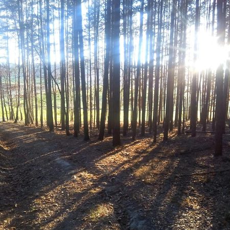 Ferienwohnung Landliebe رودولشتات المظهر الخارجي الصورة